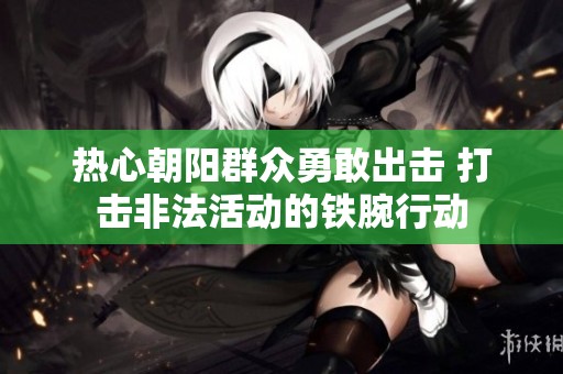 热心朝阳群众勇敢出击 打击非法活动的铁腕行动