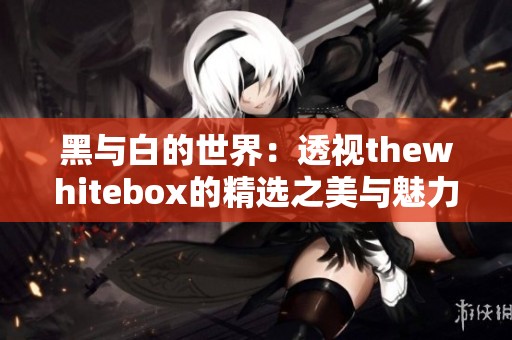 黑与白的世界：透视thewhitebox的精选之美与魅力