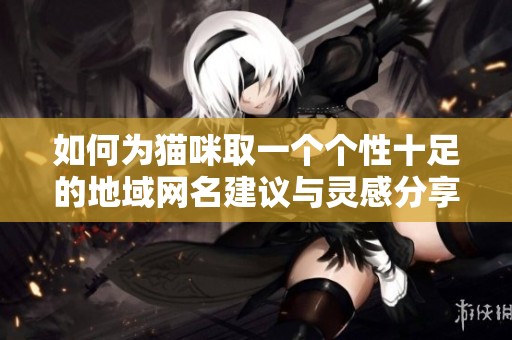 如何为猫咪取一个个性十足的地域网名建议与灵感分享