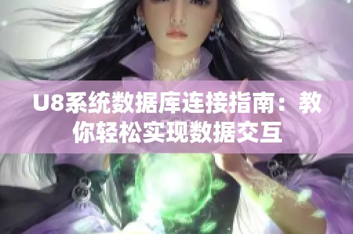 U8系统数据库连接指南：教你轻松实现数据交互