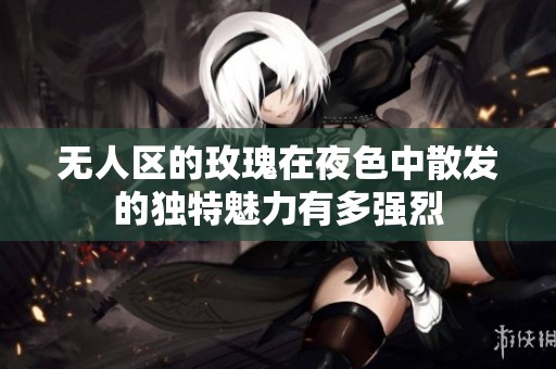 无人区的玫瑰在夜色中散发的独特魅力有多强烈