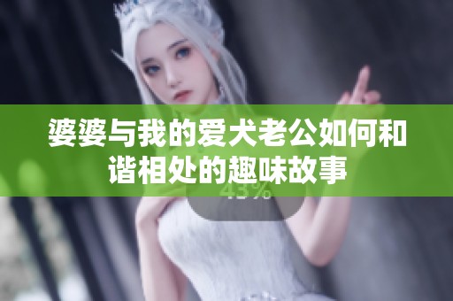 婆婆与我的爱犬老公如何和谐相处的趣味故事