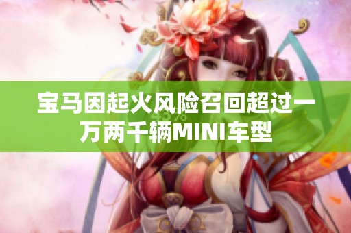 宝马因起火风险召回超过一万两千辆MINI车型